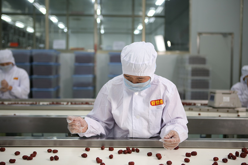 枣乡04.jpg 枣乡04.jpg