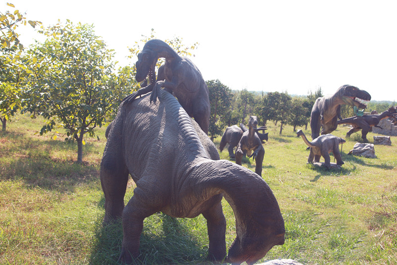 枣乡03.jpg 枣乡03.jpg