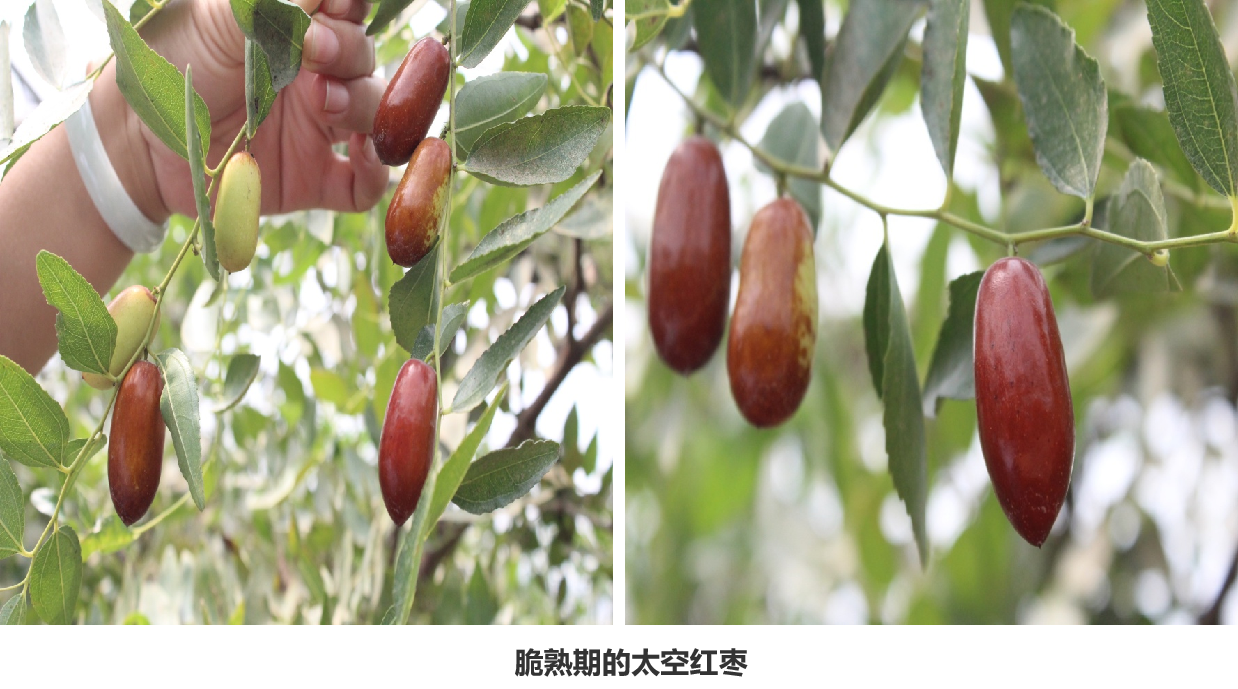 1650356239310871.png 图片2.png